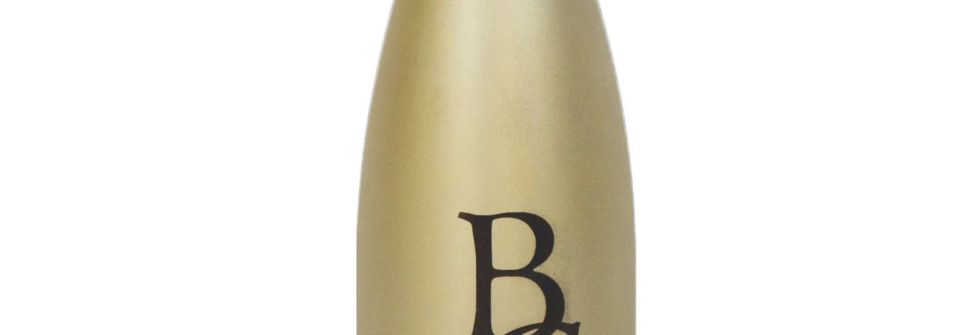 Stainless Water Bottle