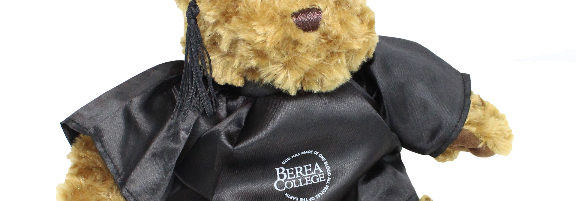 Graduation Bear Plushie