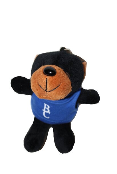 Teddy bear Keychain