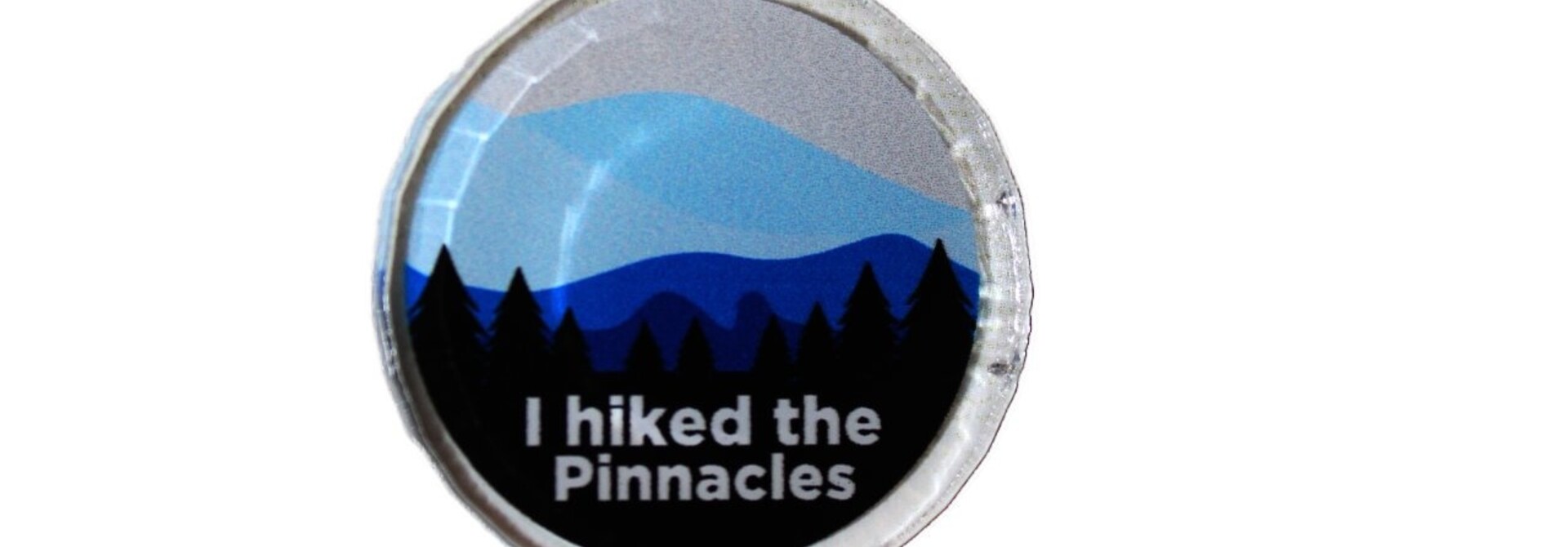 Acrylic Pin