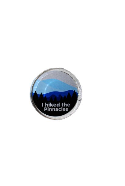 Acrylic Pin
