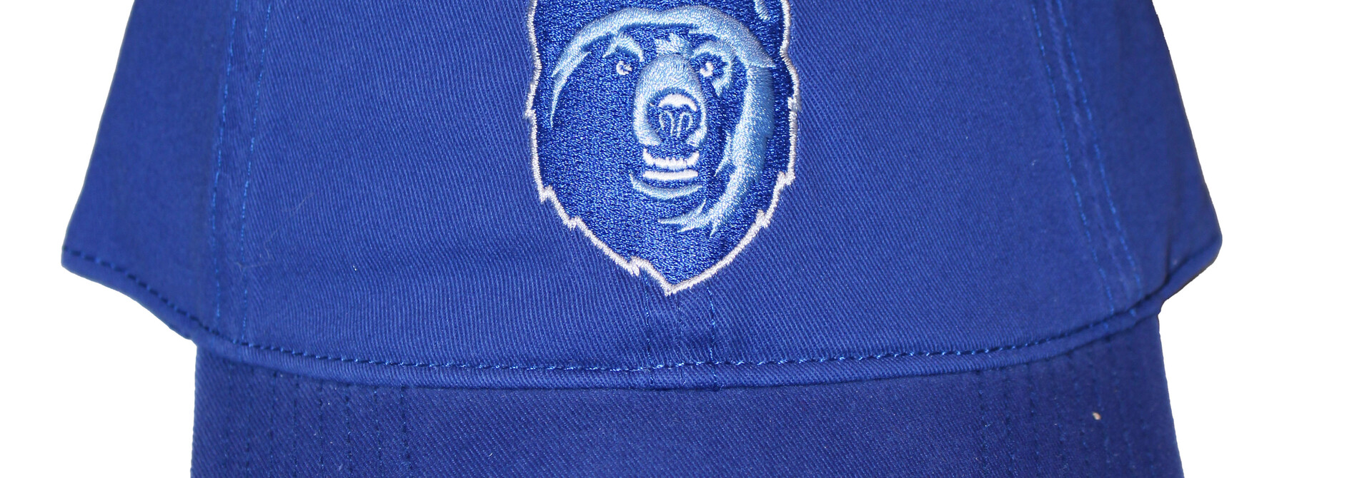 Bear Mascot Cap