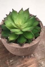 KALALOU Mini Succulent -