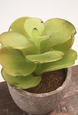 KALALOU Mini Succulent -