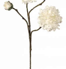 KALALOU Botanica #553 - White Flower & Buds