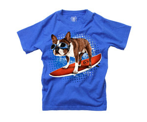 blumoon boston terriers