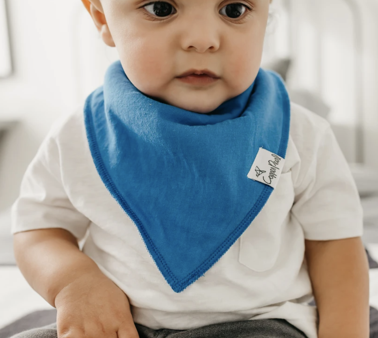 Copper Pearl Nash Baby Bandana Bib Set 4pk