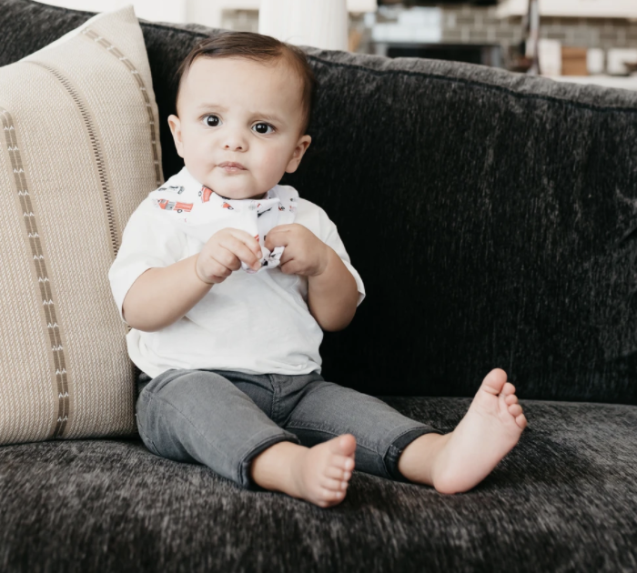 Copper Pearl Nash Baby Bandana Bib Set 4pk