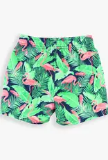 Ruffle Butts/Rugged Butts Flamingo Frenzy Swim Trunks