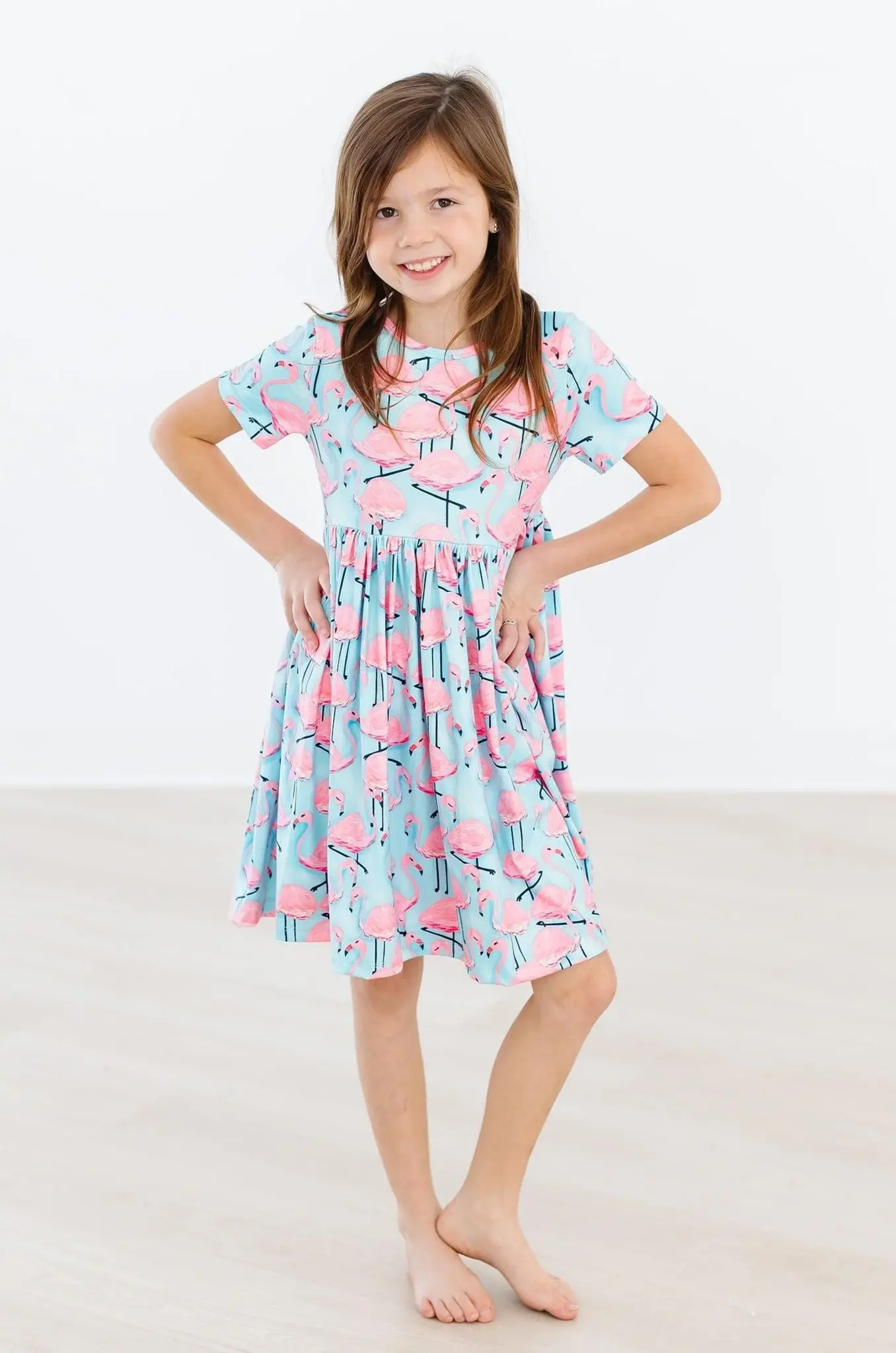 Mila & Rose Pretty in Pink Flamingos S/S Pocket Twirl Dress