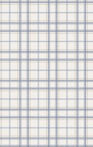 Angel Dear Blue Plaid Howdy Embroidery L/S Western Pearl Snap Shirt