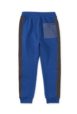 Tea Collection Colorblock Stripe-Out Joggers Royal