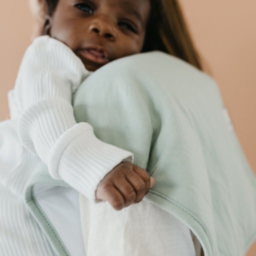Copper Pearl 3 PACK PREMIUM BURP CLOTHS - REX