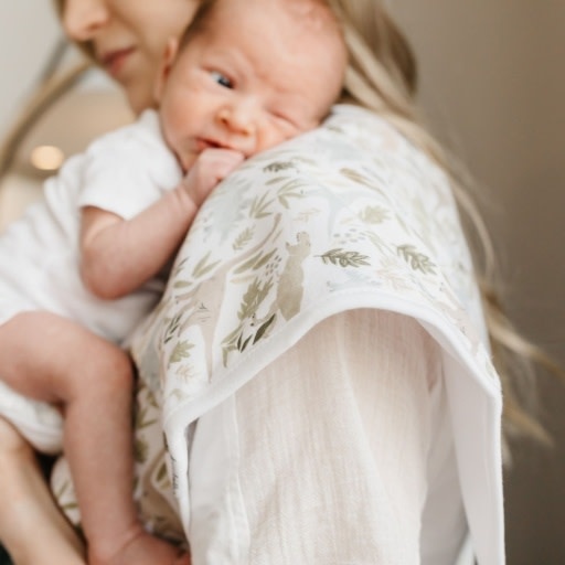 Copper Pearl 3 PACK PREMIUM BURP CLOTHS - REX
