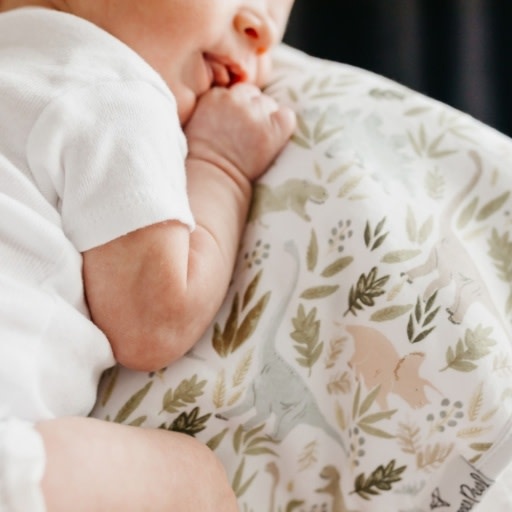 Copper Pearl 3 PACK PREMIUM BURP CLOTHS - REX