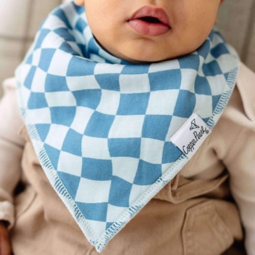 Copper Pearl 4 PACK BABY BANDANA BIBS - RYDER
