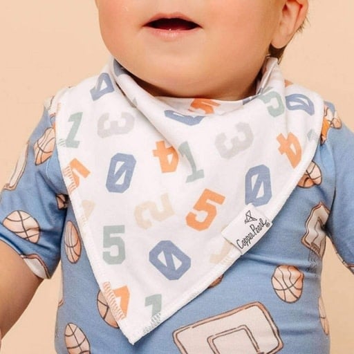 Copper Pearl 4 PACK BABY BANDANA BIBS - DUNK