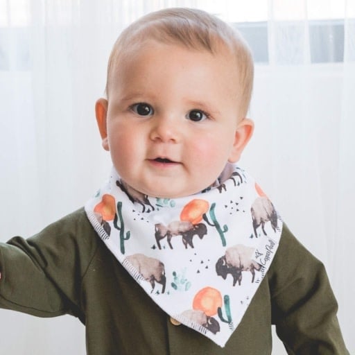 Copper Pearl 4 PACK BABY BANDANA BIBS - BISON