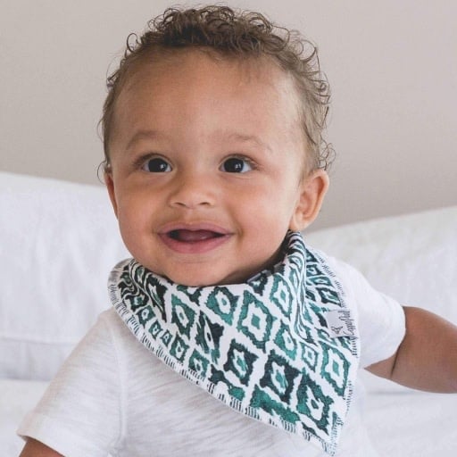 Copper Pearl 4 PACK BABY BANDANA BIBS - BISON