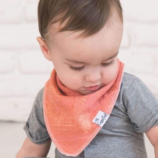 Copper Pearl 4 PACK BABY BANDANA BIBS - BISON