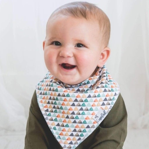 Copper Pearl 4 PACK BABY BANDANA BIBS - BISON