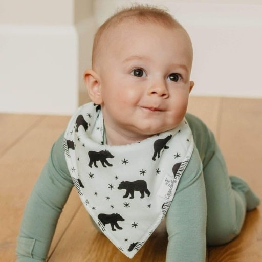 Copper Pearl 4 PACK BABY BANDANA BIBS - ARCHER
