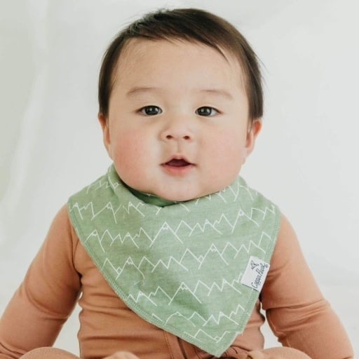 Copper Pearl 4 PACK BABY BANDANA BIBS - ARCHER