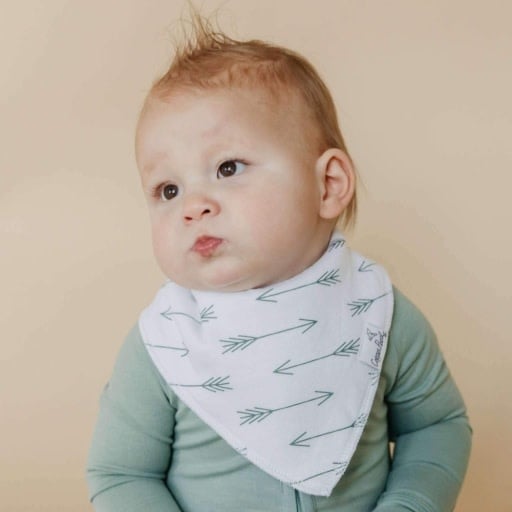 Copper Pearl 4 PACK BABY BANDANA BIBS - ARCHER