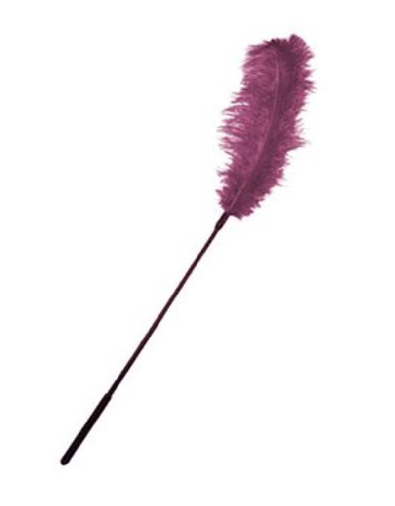 Ostrich Feather Tickler - Assorted Colors