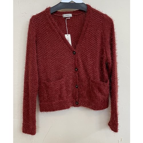 Cameo Peri Cardigan - Rust Cameo Peri Cardigan - Rust