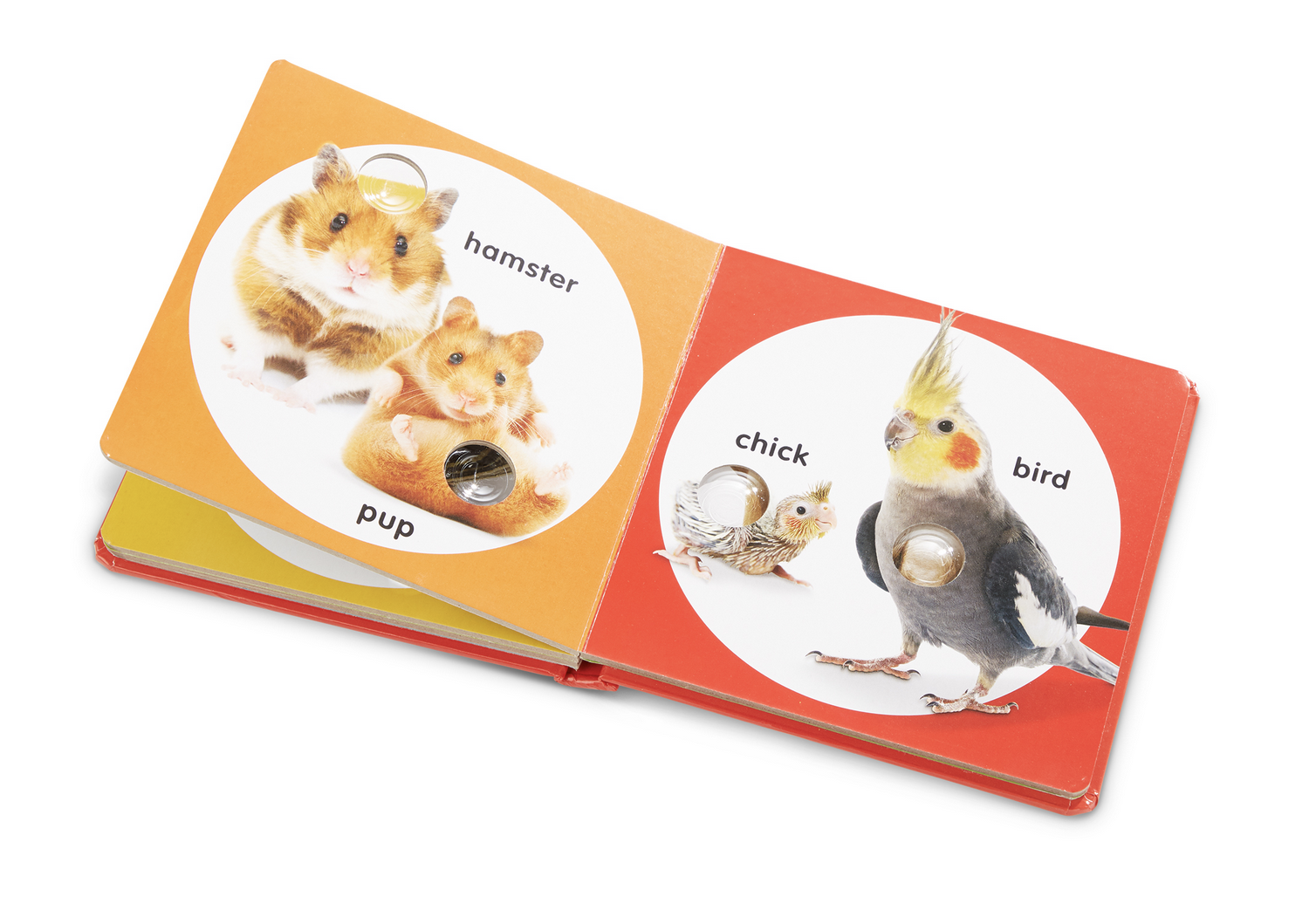 Melissa & Doug Small Poke A Dot: Pet Families 31352