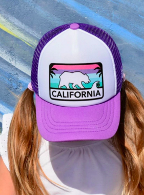 CA License Plate Trucker Hat Lav/White