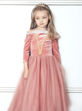 Princess Briar Rose Pink Costume