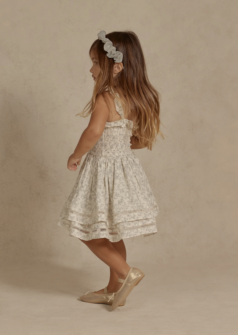 Noralee Birdie Dress-French Toile