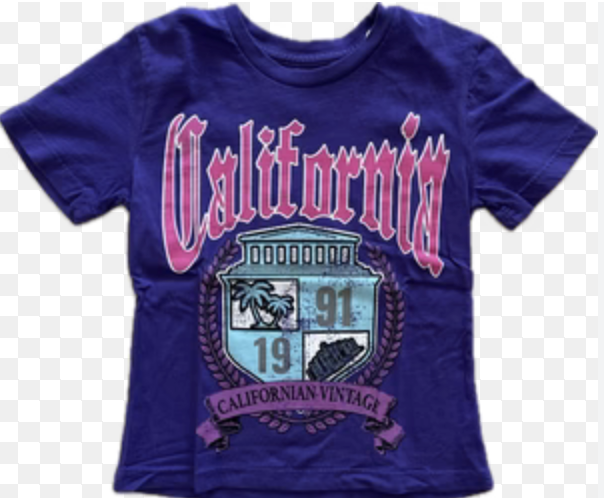 Californian Vintage T-SHIRT S/S UNIVERSITY W K407 PURPLE
