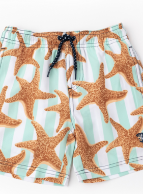 boys trunks - starfish stripe