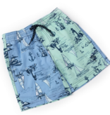 Shade Critters boys trunks - coastal colorblock
