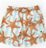boys trunks - starfish stripe