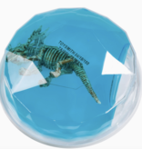 Toysmith Dinosaur Fossil Putty, Reusable