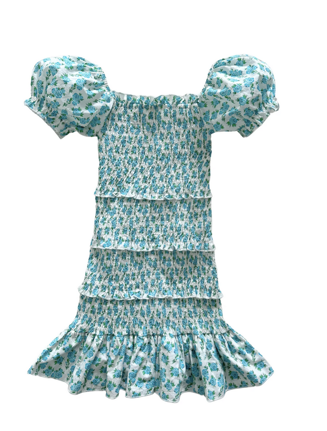 Summer Loving Milou Dress-Blue Floral