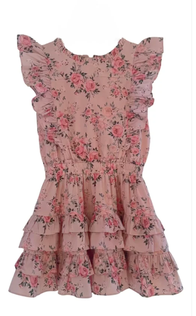 Summer Loving Gustavia Dress-Pink