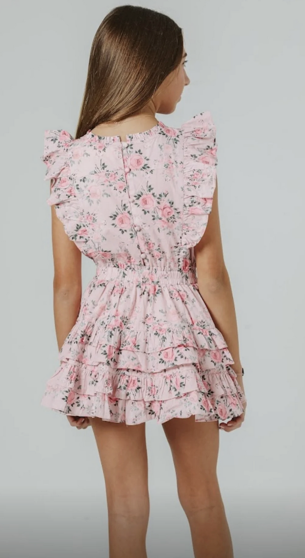 Summer Loving Gustavia Dress-Pink