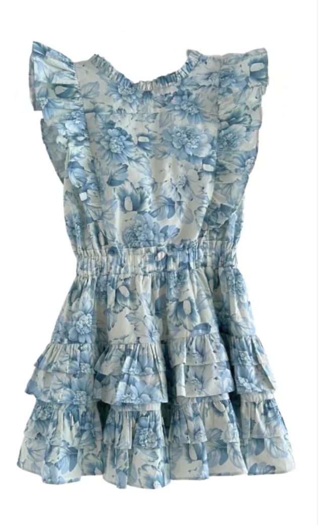 Summer Loving Gustavia Dress-Blue Peonies