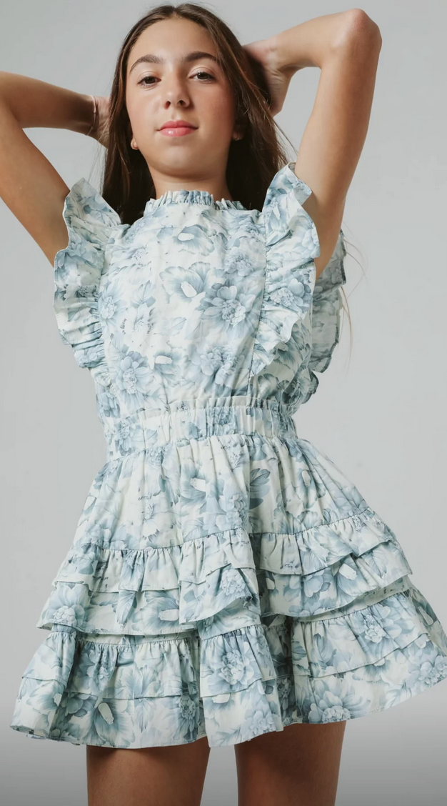 Summer Loving Gustavia Dress-Blue Peonies