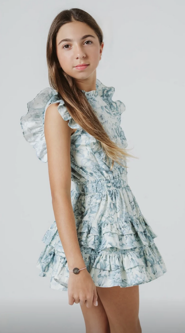 Summer Loving Gustavia Dress-Blue Peonies