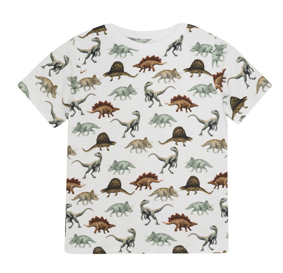 Minymo 133905 T-shirt SS AOP  DINO