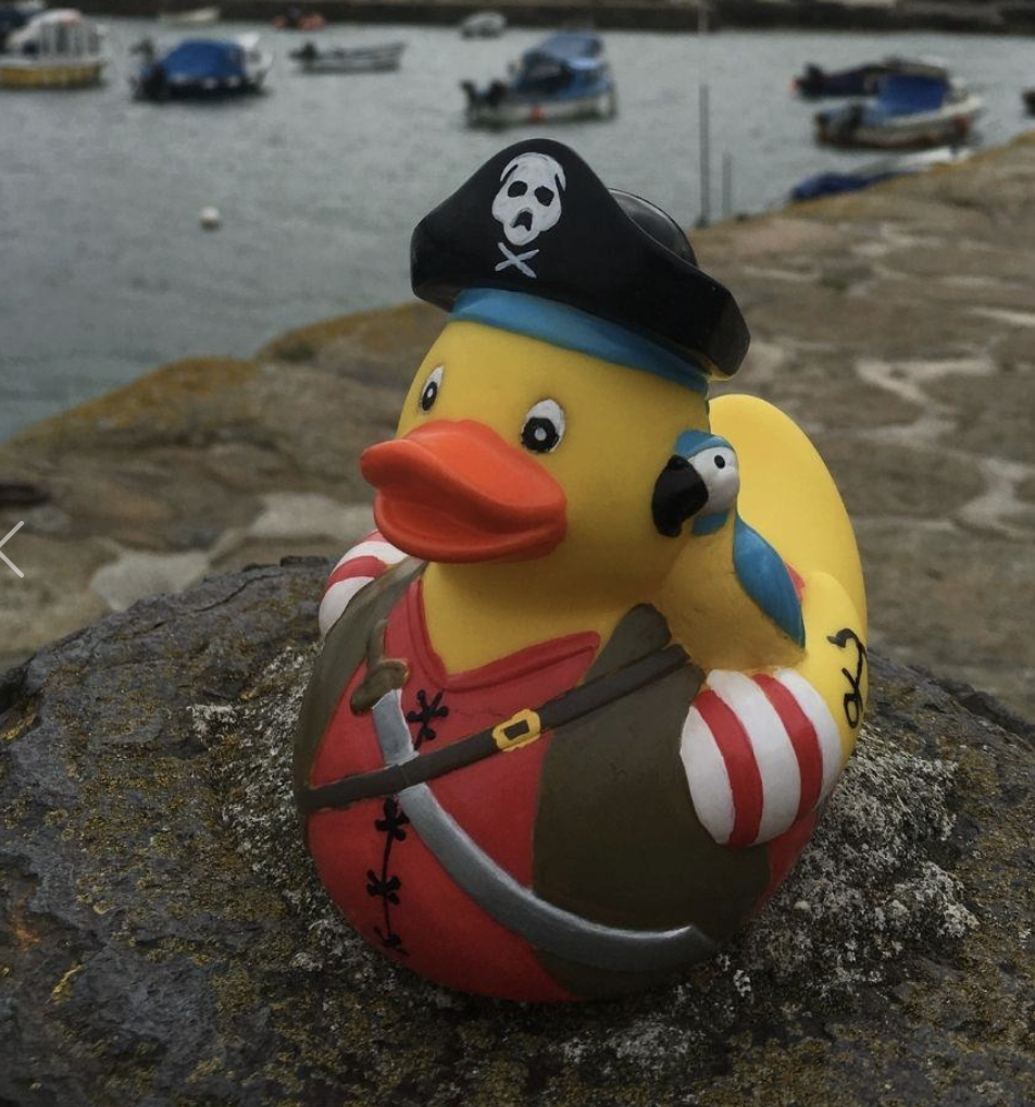Yarto Pirate Duck