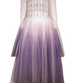 Joy Costumes The Glacier Queen