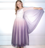 Joy Costumes The Glacier Queen