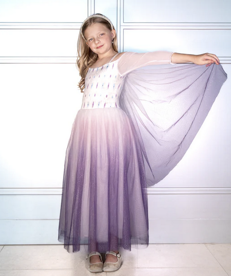 Joy Costumes The Glacier Queen